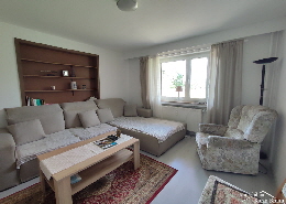 Wohnzimmer (2)6